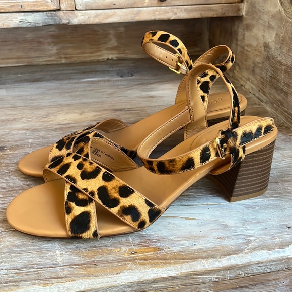 J. Crew Shoes - 🖤 NWOT J. Crew Leopard Print Calf Hair and Leather Block Heels size 9